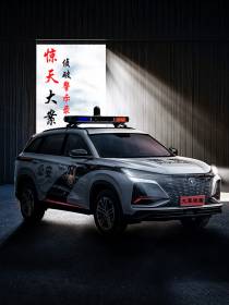 惊天大案侦破警示录