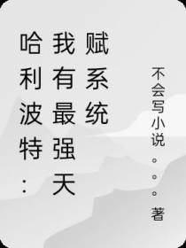 哈利波特：我有最强天赋系统