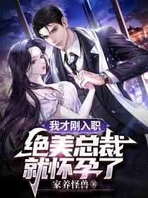 我才刚入职,绝美总裁就怀孕了