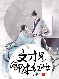 文才兄,卿本红妆