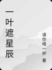 一叶遮星辰