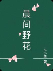 晨间野花