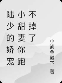 陆少的娇宠小甜妻你跑不掉了