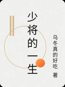 少将的一生