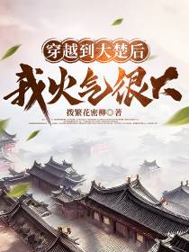 穿越到大楚后,我火气很大