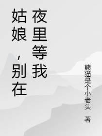 姑娘,别在夜里等我