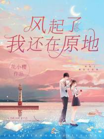风起了,我还在原地