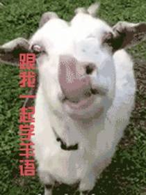 跟我一起学羊语