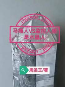 马桶人VS监控人我是水晶人
