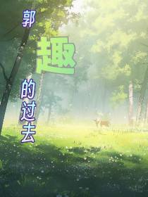 郭趣的过去