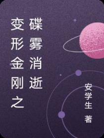 变形金刚之碟雾消逝