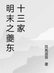 明末之夔东十三家