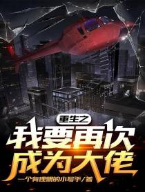 重生之我要再次成为大佬