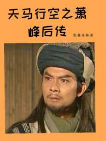 天马行空之萧峰后传