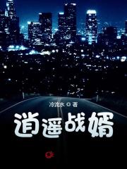 逍遥战婿