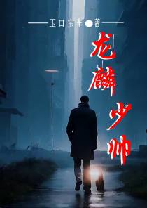 龙麟少帅