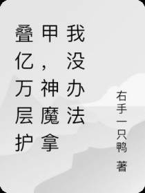 叠亿万层护甲,神魔拿我没办法