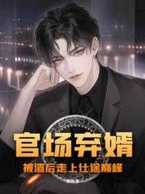 官场弃婿,被渣后走上仕途巅峰