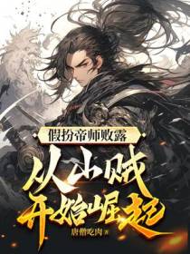 假扮帝师败露,从山贼开始崛起