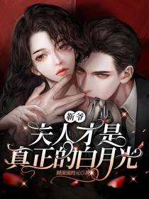 靳爷,夫人才是真正的白月光！