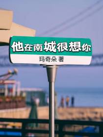 他在南城很想你