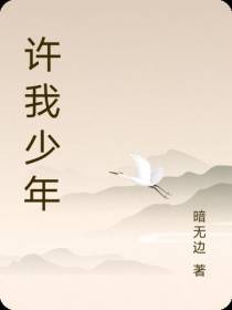 许我少年