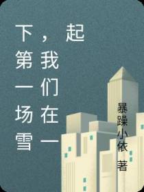 下第一场雪,我们在一起