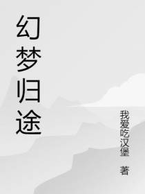 幻梦归途