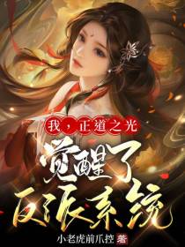 我,正道之光,觉醒了反派系统？
