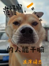 谁懂啊,一群不正统的人能干嘛