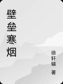 壁垒寒烟