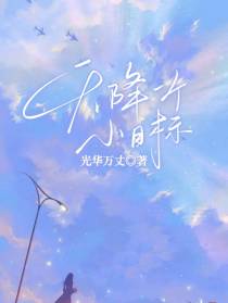 天降一个小目标