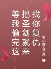 等我偷完这把圣剑就来找你复仇