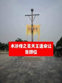 水浒传之晁天王遗命让我即位