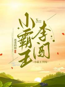 小霸王李闯