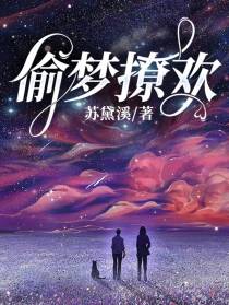 偷梦撩欢