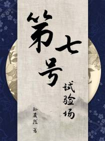 第七号试验场