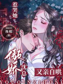 惹哭她,傲娇沈总又亲自哄
