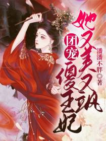 团宠,傻王妃她又美又飒