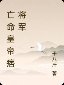 亡命皇帝痞将军