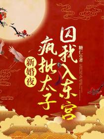 新婚夜,疯批太子囚我入东宫
