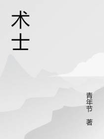 少年术士