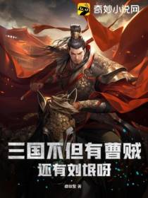 三国不但有曹贼,还有刘氓呀