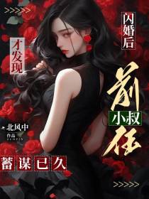 闪婚后,才发现前任小叔蓄谋已久