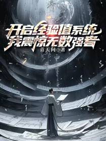 开启经验值系统,我震惊无数强者