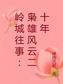 岭城往事：枭雄风云二十年