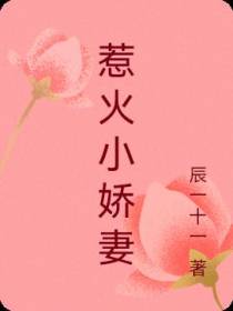 惹火小娇妻