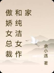 傲娇女总裁和纯洁女作家