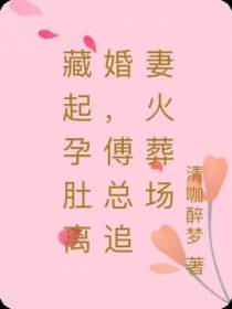 藏起孕肚离开,傅总追妻火葬场