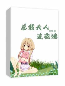 总裁夫人连夜逃